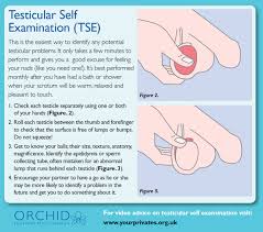 Symptoms may include a lump in the testicle, or swelling or pain in the scrotum. Orchid On Twitter Take 2 Minutes Out Of Your Weekend To Check Your Testicles For Any Lumps Or Potential Signs Of Testicular Cancer If Caught Early Enough Testicular Cancer Has A 98