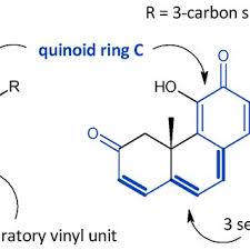 Image result for Equilabium petiolare