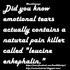 You are presented with so many insurance options that you are unsure which is best. Daily Health Tips Trivia 8