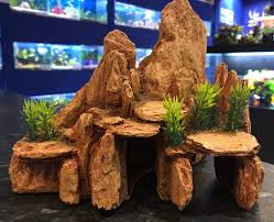 And the sweet dish is served in the french cuisine. Aq Nevada Desert Rock Cave With Plant Aquarium Fish Tank Ornament Buy Online In Zambia At Zambia Desertcart Com Productid 115644760