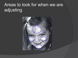 Working With Photographs