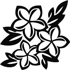 Download Drawing Flower Sampaguita Flower Black And White Png Png Image With No Background Pngkey Com Check out inspiring examples of sampaguita artwork on deviantart, and get inspired by our community of talented artists. flower black and white png png image