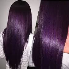 Deep Amethyst Hair Color Purple Hair Color Plum Violet Hair Colors