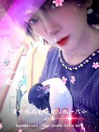 Explore the Melodies of Bird Songs and Music Sharing