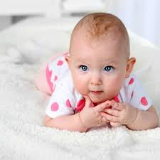 Shason Textile (2 Yards Cut) Soft Puffy Dot Fleece, White