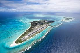 Agreement on the Conservation of Albatrosses and Petrels - The Midway  Seabird Protection Project fails to eradicate the atoll's albatross-killing  House Mice