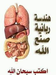 افضل دواء للقولون العصبي في الصيدلية النغربية. Ù…Ø±Ø¶ Ø§Ù„Ù‚ÙˆÙ„ÙˆÙ† Ø§Ù„Ø¹ØµØ¨ÙŠ ÙÙŠ Ø§Ù„Ù…ØºØ±Ø¨ Facebook