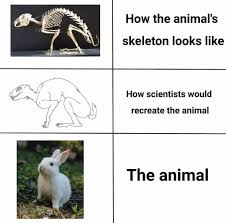 Science Memes On Instagram What If Some Dinosaurs Actually Looked Like Bunnies Funny Relatable Memes Stupid Funny Memes Edgy Memes