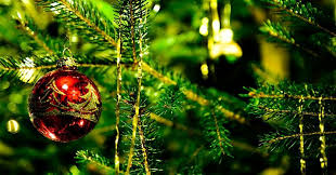 We did not find results for: O Chemistree Feature Rsc Education
