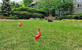It's quite normal for pooches to want to jump or climb over fences for various reasons, and if your dog is one of them, then the above tips should come in handy in helping you keep fido within the yard. Why Dogs Jump Fences And Training Them To Stop The Dog Central