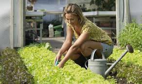 You can't do much about the heat in your garden, but you can control the light and heat. Alan Titchmarsh On Keeping Weeds Under Control In Your Garden Express Co Uk