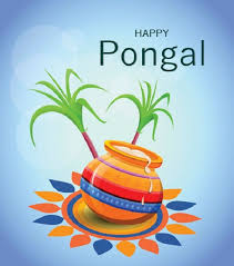 Happy pongal wishes and greetings i pongal wishes i happy pongal 2021pongal wishes to your family from my family.like comment and share ▶most. Oboflpvpjgrfgm