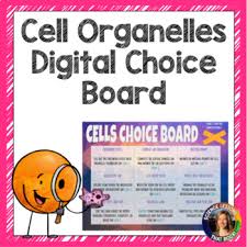 Animal cell coloring page answers membrane worksheet protist sheet from cell organelles worksheet answer key , source:pinkmirror.co. Cell Organelles Digital Worksheets Teaching Resources Tpt