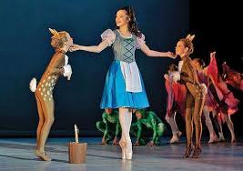Beauty And The Beast Beauty And The Beast Costume Beauty And The Beast Ballet Costumes