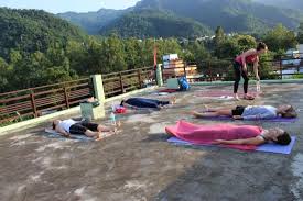 Yoga instructor training and certifications. Yoga Instructor Training Review Of Rishikul Yogshala Rishikesh India Tripadvisor