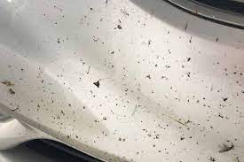 You can also use this method to remove tar and sap. How To Remove Bugs From Car Without Damaging Paint Detaildiy