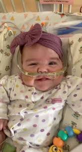 it has been a hard week— Vivi is officially 8 weeks old today & we lost  Teddy 5 weeks ago today. I want nothing more than to be able to bring both