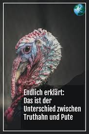 Pin Auf Tipps Fur Den Alltag