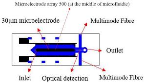 Is a contract manufacturer which was established in 2010 with the vision to serve the industrial sector by providing an alternative choice to the industrial players. Biosensors Free Full Text Separation And Detection Of Escherichia Coli And Saccharomyces Cerevisiae Using A Microfluidic Device Integrated With An Optical Fibre Html