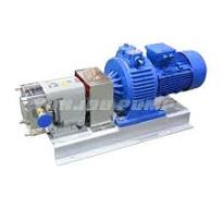 Sanitary High Efficiency Ketchup Transfer Pump Lobe Pump