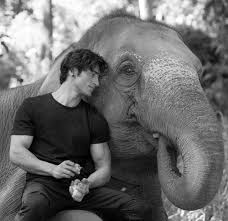 Vidyut Jamwal Movie Photos Stills The english movie junglee movie was released on 29 mar 2019, in fact, the producer of the film has not authorized any of the websites to distribute just after the release of the movie, junglee vidyut jamwal full movie download got leaked on tamil rockers for download.
