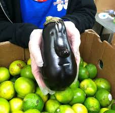 Fruits And Vegetables That Forgot How To Be Plants Fruits Et Legumes Fruits Amusants Nourriture Drole
