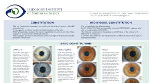 Veracious Iridology Iris Chart 2019