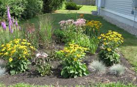 Rain Gardens Design And Installation Unh Extension