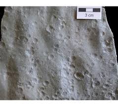 Fossilized Raindrops These Ones Are 2 7 Billion Years Old The Story Of Earth Rain Drops Ancient