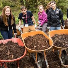 Experiment and invest in the one that suits your landscape and climate. Which Garden Mulch Is Best Home Garden Nola Com