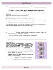 Explorelearning protein synthesis, or translation, is one such process. Assignment Vii 5 Rna And Protein Synthesis Gizmo 3 Doc Name Date Student Exploration Rna And Protein Synthesis Vocabulary Amino Acid Anticodon Codon Course Hero