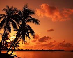 Palm trees silhouette 2 illustration. Palm Trees Beach Wallpapers Group 84