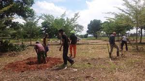 Satu dari 5 manfaat gotong royong lainnya adalah dapat menghemat pengeluaran dalam setiap kegiatan. Pemkab Lamteng Siapkan Lahan 2 Hektare Bangun Taman Kota Gotong Royong Tribun Lampung