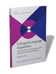 Please find below many ways to say contextual factors in different languages. Trilingual Language Acquisition Contextual Factors Influencing Active Trilingualism In Early Childhood Sarah Chevalier