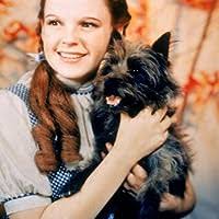 The Not Good Enough Mother by Sharon Lamb