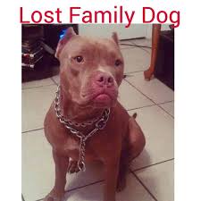 We have devastating update