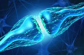 Synapse improves the capacity of learning and development teams by streamlining training intake, project planning and content authoring. Artificial Synapse That Works With Living Cells Developed At Stanford