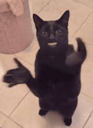 https://encrypted-tbn0.gstatic.com/images?q=tbn:ANd9GcSDp1Xb7pn6YjLmUOr_DPNRk0337IG_yhQtx8W97kJ4lg&s