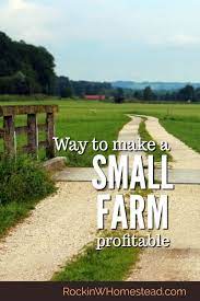 Ways To Make Your Small Farm Profitable Rockin W Homestead Farm Layout Backyard Farming Farm Plans