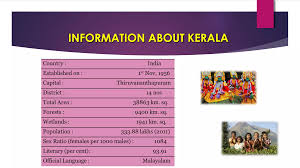 Image result for Millettia bussei