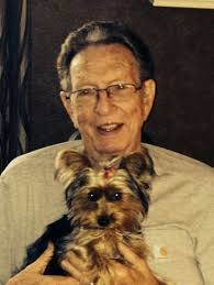 Found this in my yard. Any idea what species? McCracken county