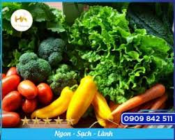 Công ty cung ứng rau sạch hữu cơ ở tại Dĩ An, Bình Dương