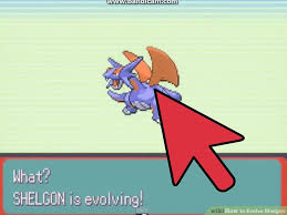 How To Evolve Shelgon 4 Steps With Pictures Wikihow