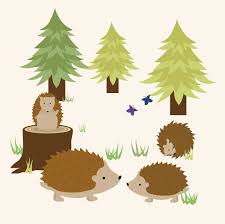 Wildlife Illustrations — Emma Preston-Steed