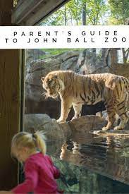 Over 14 Ways To Spend The Day At John Ball Zoo Baby Animals Bricklive Activities More Zoo Zoo Babies Savannah Tours