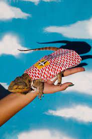 Lizard company is headquartered in sarasota, florida and was founded in 2004 by logan lopez. Ooak Lizard Brick House Dress Fashion Brand Company