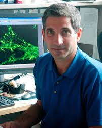 Scripps Research- News & Views,Scientists Find Way to Block Stress-Related  Cell Death