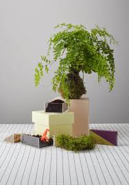 Using commercial planters for our own garden or for our business spaces is very customary nowadays. Japanese Floral Art Kokedama Ideas Of Natural Plant Pots A Spicy Boy