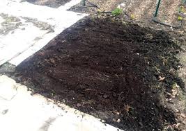 How can i get rid of the grass underneath my landscaping without digging up all my plants and garden soil? The Non Toxic Way I Killed All My Grass On Purpose Creative Green Living