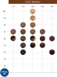 Wella Colour Touch Chart Numbers Best Picture Of Chart